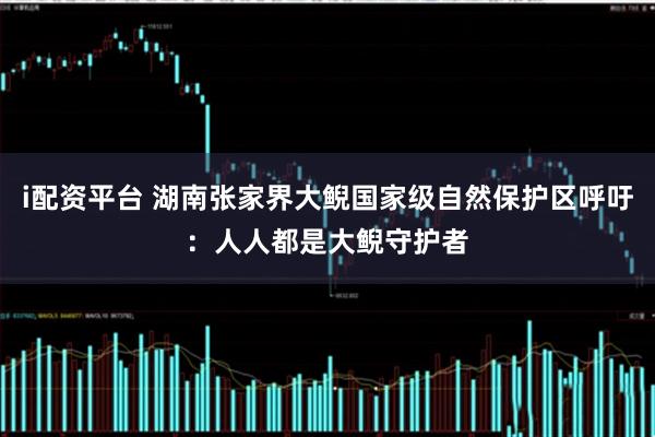 i配资平台 湖南张家界大鲵国家级自然保护区呼吁：人人都是大鲵守护者