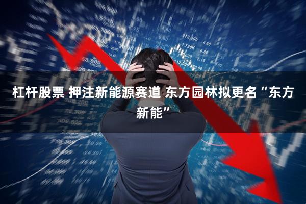杠杆股票 押注新能源赛道 东方园林拟更名“东方新能”
