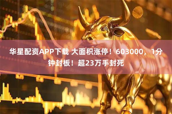 华星配资APP下载 大面积涨停！603000，1分钟封板！超23万手封死